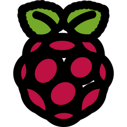 RASPBERRY PI